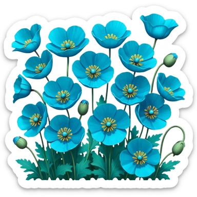 Hyperrealistic vivid, bright, ultra detailed, still life render, field of Himalayan blue turquoise Poppies sticker
