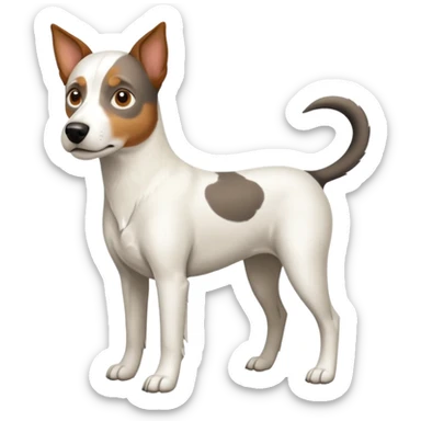 a full body large white parson russell looking dog the size of a kelpie with light brown ears and a light brown patch on one eye and a large snout sticker