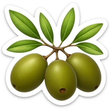Una rama de olivo con aceitunas verdes sticker