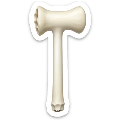 singular humerus bone sticker