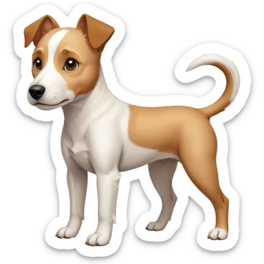 a full body facing front on of a buff white parson russell terrier looking dog the size of a kelpie with light brown long ears resting on its face and a light brown patch above one eye and a large snout. the rest of the dog is completely white.  sticker