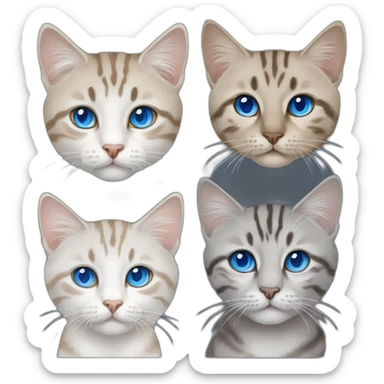 three cats, 1 lynx point with blue eyes, 1 white and white tabby with blue eyes, 1 all black with blue eyes sticker