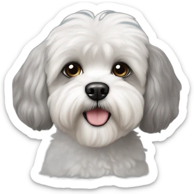 White and gray Shih tzu poodle bichon mix sticker