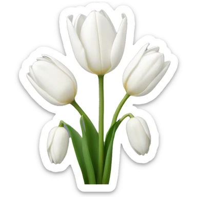 White tulips sticker