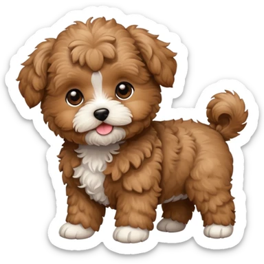 maltipoo brown puppy  sticker