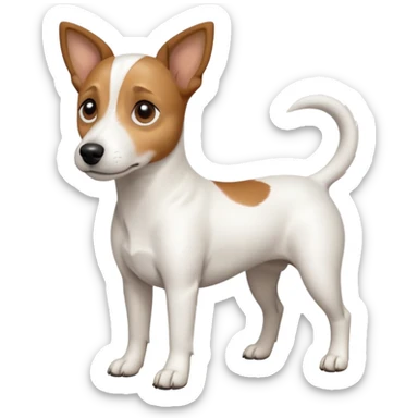 a full body white jack russel looking dog the size of a kelpie with light brown ears and a light brown patch on one eye, flopped down ears and a large snout sticker