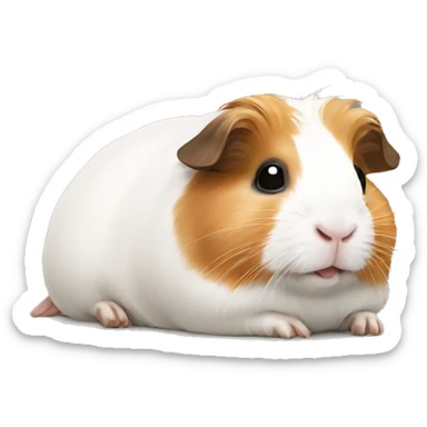 Guineapig laying down very cute but realistic sticker