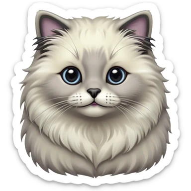 Cinematic Adorable Fluffy Grey Seal Ragdoll Cat Portrait Emoji, Head tilted cutely with big, sparkling eyes, soft grey fur with darker seal points on the ears, face, and paws, Simplified yet irresistibly adorable features, highly detailed, glowing with a soft, warm glow, high shine, affectionate and playful, stylized with a touch of whimsy, bright and endearing, soft glowing outline, capturing the essence of a curious and loving kitten, so cute it feels like it could leap out of the screen and snuggle up for a cuddle! sticker