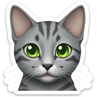 Gray domestic shorthair cat with green eyes  sticker