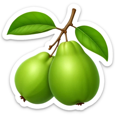 A green guava with a leaf attached sticker