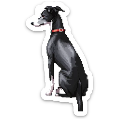 Slim Chinese girl with long black hair and her completely solid grey Italian greyhound looking out a window together on a snowy day, the dog has absolutely no white markings anywhere, completely uniform grey color throughout sticker