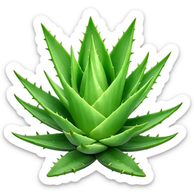 Cinematic Realistic Aloe Vera Emoji, Plump and succulent, with thick, fleshy leaves arranged in a star-like rosette. The vibrant green leaves have a slightly spiky texture, exuding a sense of resilience and healing. Soft glowing outline, capturing the essence of natural wellness and desert vitality in a flourishing aloe vera plant! sticker