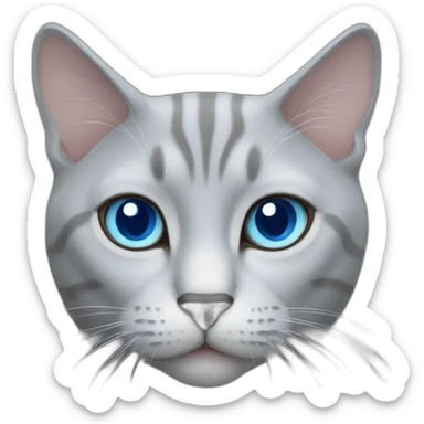 Grey Thailand cat blue eyes  sticker