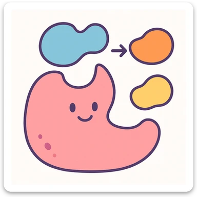 Ultra-detailed scientific illustration  (like in a school book) of enzyme digestion. Macro molecular view, clean white background, no text, no human figures or cartoon characters. Purely biological focus. sticker