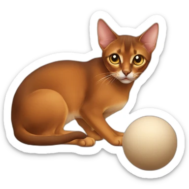 Abyssinian cat play with a small fur ball sticker