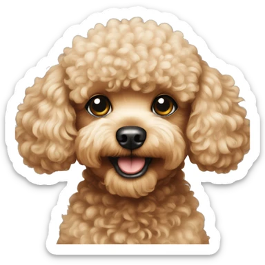 Toy poodle  sticker