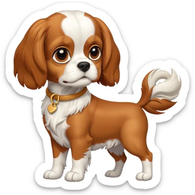Cavalier King Charles Spaniel dog Preliminary Acceptance Inspection sticker