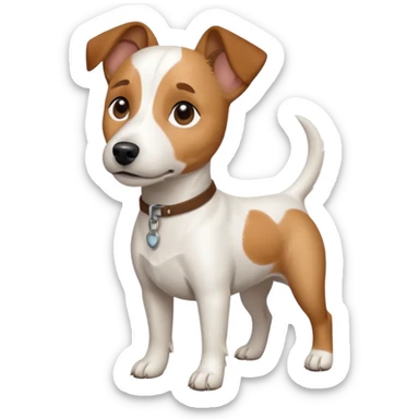 a full body white jack russel looking dog the size of a kelpie with light brown ears and a light brown patch on one eye and a large snout sticker