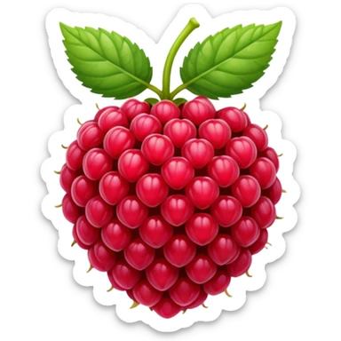 Raspberry sticker