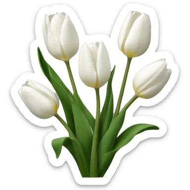 Tulipanes blancos  sticker