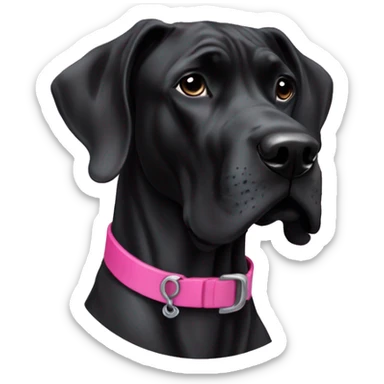  black Great Dane with skinny pink collar  sticker