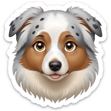 A mini Australian shepherd with white hair and black spots over her eyes. One eye is light blue, and the other is brown sticker