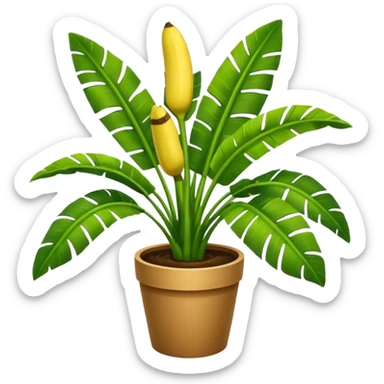 Potted plant, the potted plant contains banana leaves sticker
