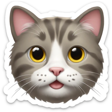 🐱 🤩 sticker