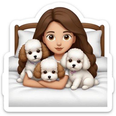 Olive skin girl with long brown hair in bed with three pure white bichon frise's in bed sticker