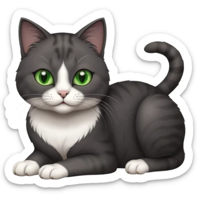 beautiful female solid dark grey cat with green eyes, white toes/paws and white patch on her chest rolling over sticker