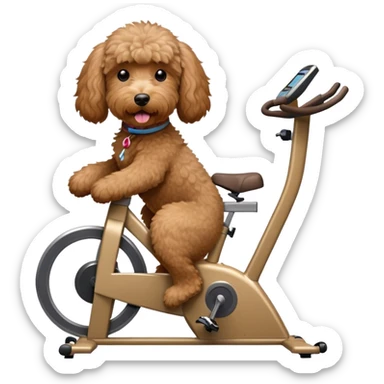 brown goldendoodle riding a spin bike sticker