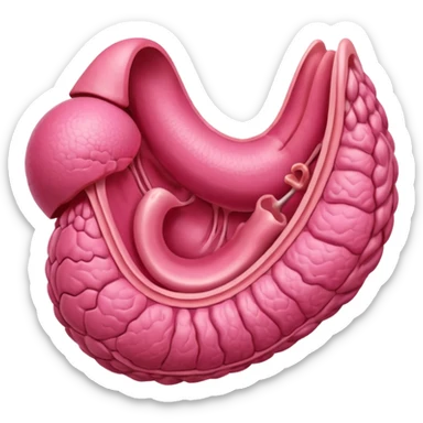 uterus sticker