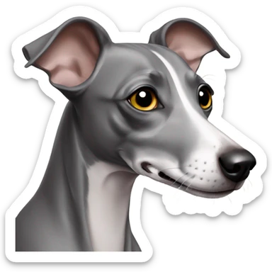 Gray Italian greyhound sticker