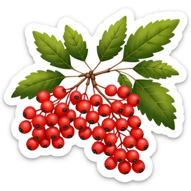 rowan/mountain ash berries sticker