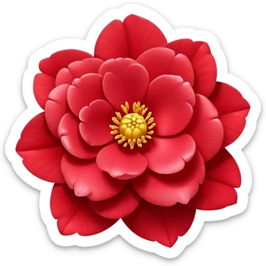 simple red camellia flower with exactly five overlapping petals and yellow center sticker