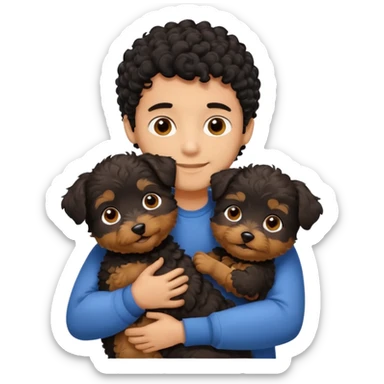 Young man with little brown skin, black curly hair, cheerful dark brown eyes, hugging two yorkiepoo sticker