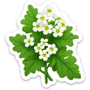 white mustard plant sticker