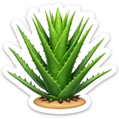 Aloevera sticker