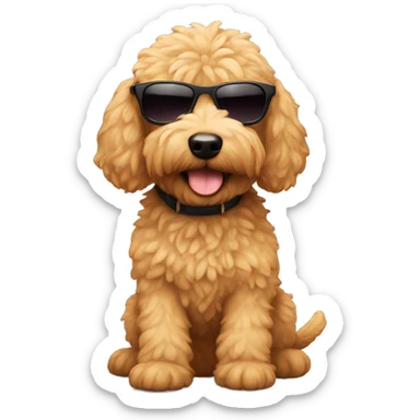 A mini-golden doodle wearing shades sticker