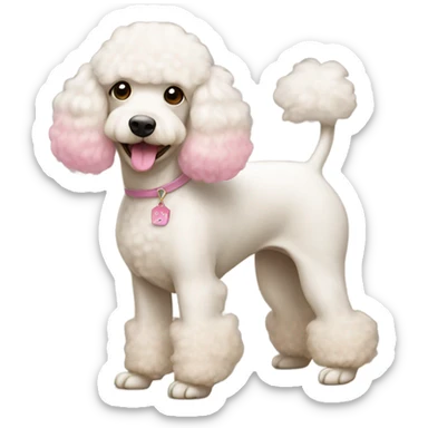 White poodle mix with apricot ears and pink nose  sticker