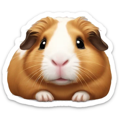 Guineapig laying down very cute but realistic sticker