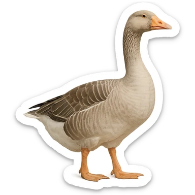 Goose sticker