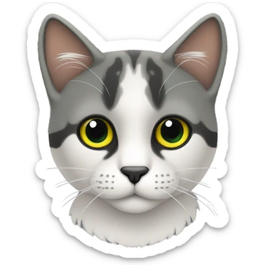 Gato de color negro con rallas blancas y color amarillas ojos verdes sticker
