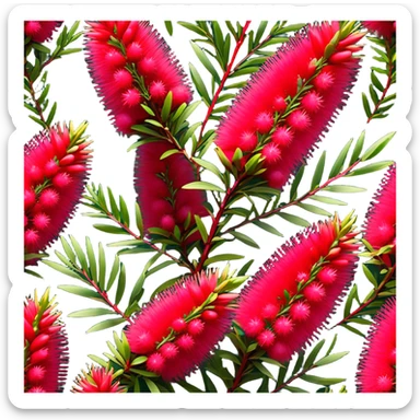 Cinematic Realistic Callistemon Emoji, Vibrant and striking, with spiky red flowers resembling a bottlebrush. The slender leaves create a fine backdrop to the bold blooms, while the plant exudes energy and vitality. Soft glowing outline, capturing the essence of strength, color, and natural beauty in a brilliant callistemon tree! sticker