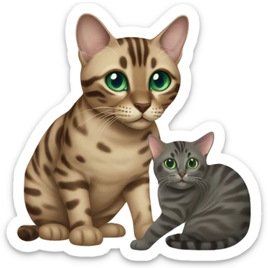 Seal Bengal cat with Blue eyes + charcoal Sepia bengal cat with Green eyes sit Next to each other  sticker