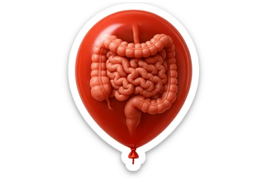 intestino umano anatomico chiuso in un palloncino rosso, iperrealistico 4k sticker