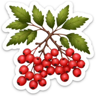 rowan/mountain ash berries, simple sticker