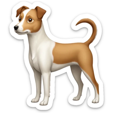a full body large white parson russell looking dog the size of a kelpie with light brown flapped down ears and a light brown patch on one eye and a large snout sticker