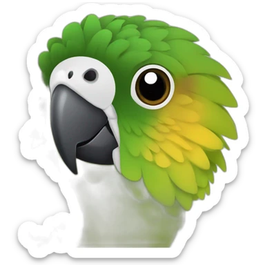 Une conure molinae sticker