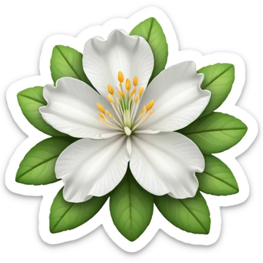 the white  azalea flower sticker